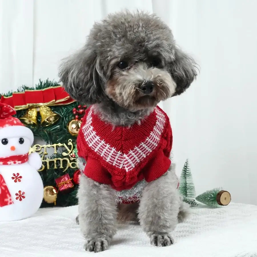 Festive Vintage Argyle Dog Jumper - Posh Pawz - 5