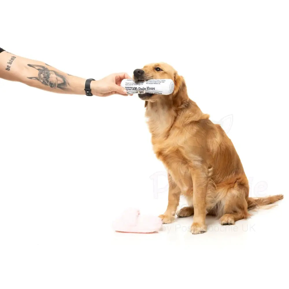 Fetch my Slippers & Paper Dog Toy by Fuzzyard - Fuzzyard - 5