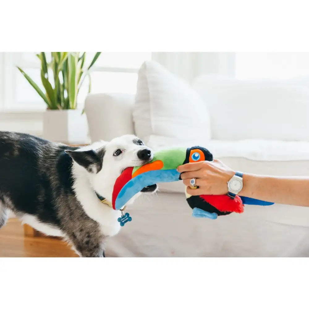 Fetching Flock Tito the Toucan Dog Toy by P.l.a.y - P.l.a.y - 3