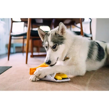 Fish n Chips Dog Toy by P.l.a.y - P.l.a.y - 7