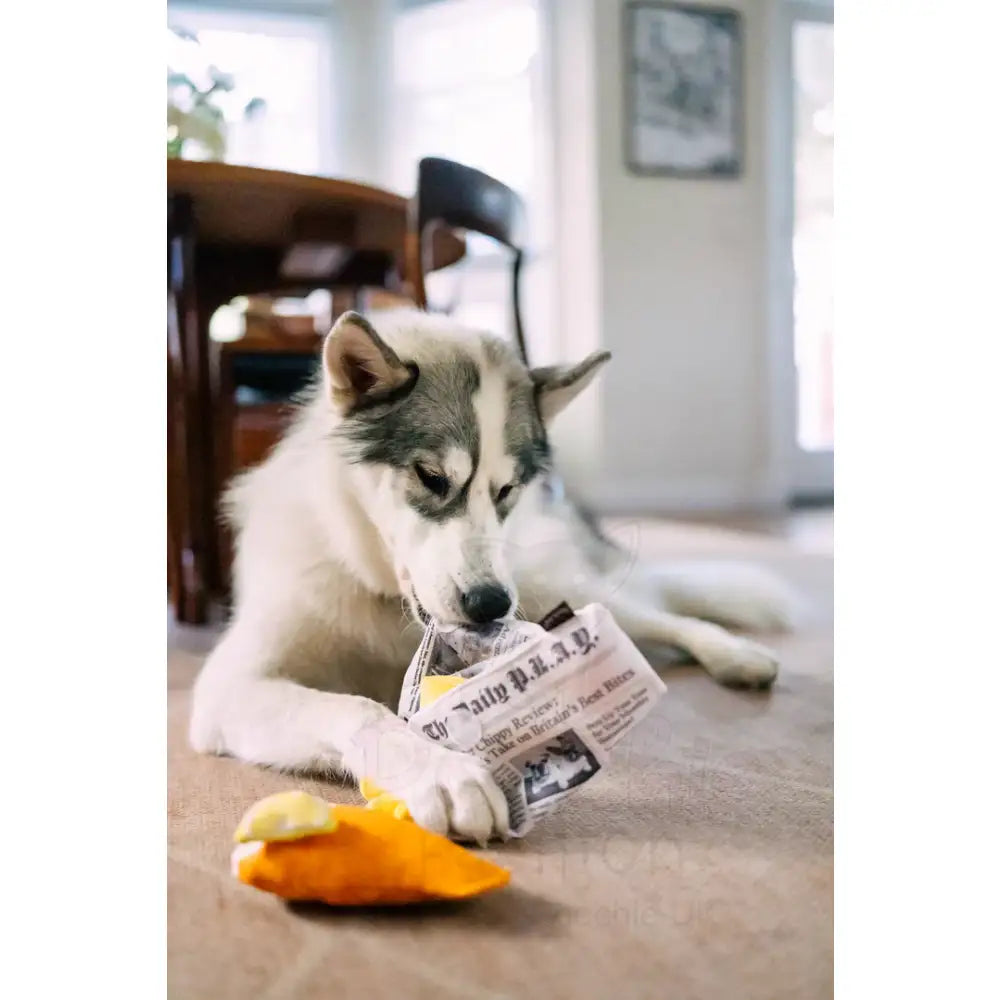 Fish n Chips Dog Toy by P.l.a.y - P.l.a.y - 3