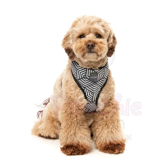 Fitzroy Dog Harness by Fuzzyard - Fuzzyard - 2