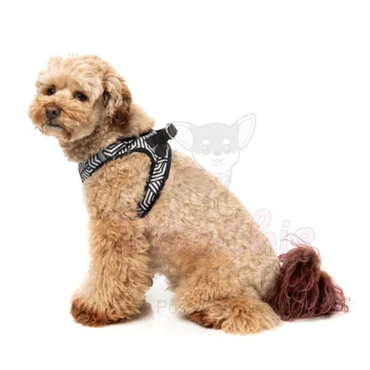 Fitzroy Step in Dog Harness by Fuzzyard - Fuzzyard - 6