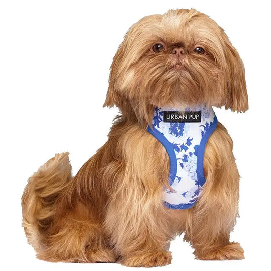 Floral Bouquet Dog Harness Xl - Sale - 1