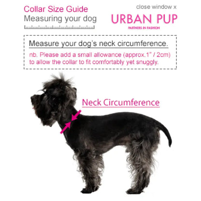 Floral Burst Dog Bandana Collar - Urban Pup - 3
