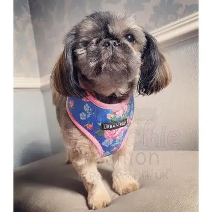 Floral Burst Dog Harness Xxs - Sale - 4