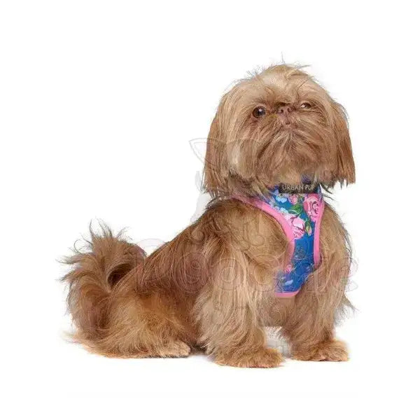 Floral Burst Dog Harness Xxs - Sale - 1