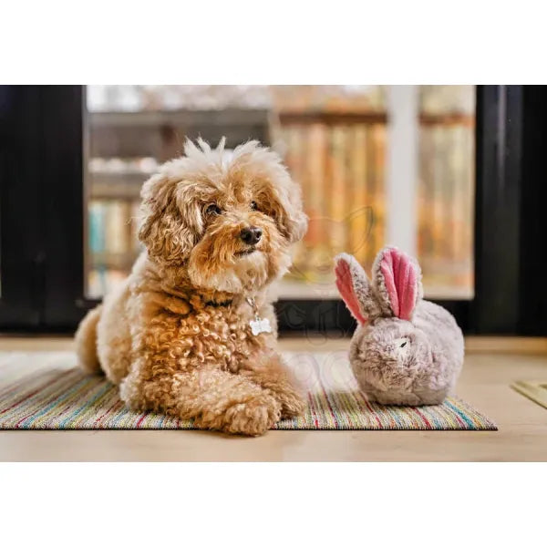 Forest Friends Baxter the Bunny Dog Toy by P.l.a.y - P.l.a.y - 5