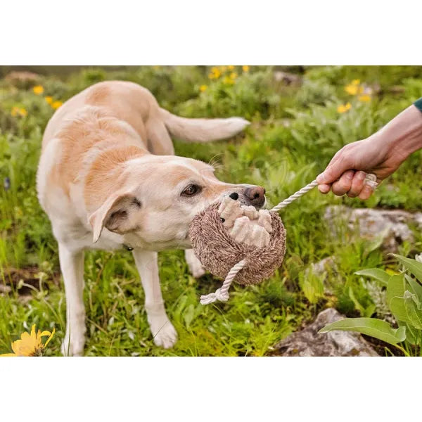Forest Friends Hamilton the Hedgehog Dog Toy by P.l.a.y - P.l.a.y - 4