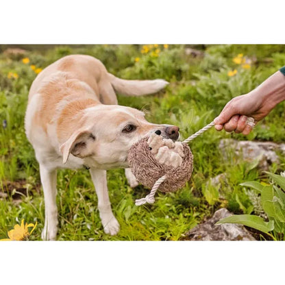 Forest Friends Hamilton the Hedgehog Dog Toy by P.l.a.y - P.l.a.y - 4