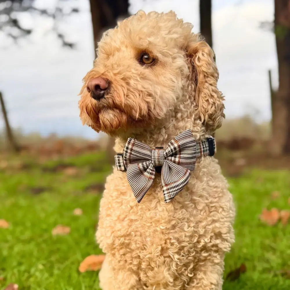 Foxbury Plaid Dog Sailor Bow Tie - Pupclub Couture - 2