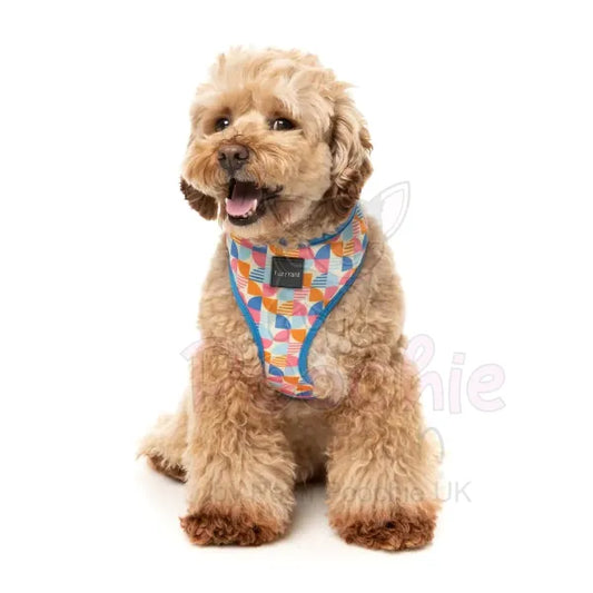 Fresh Zest Dog Harness by Fuzzyard Fuzzyard 2