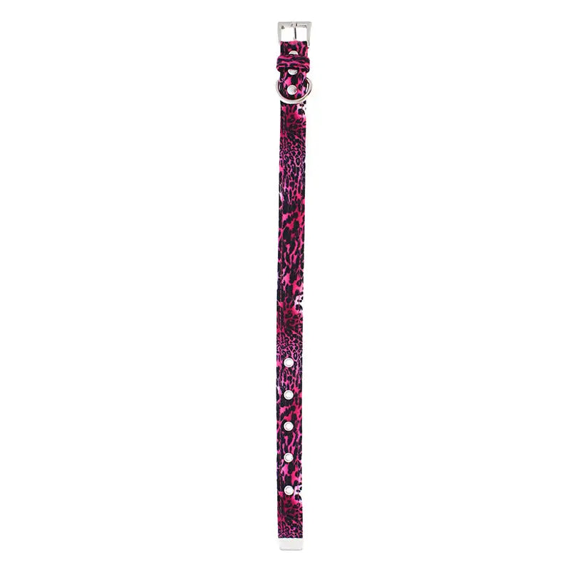 Funky Pink Leopard Dog Collar Large - Sale - 5