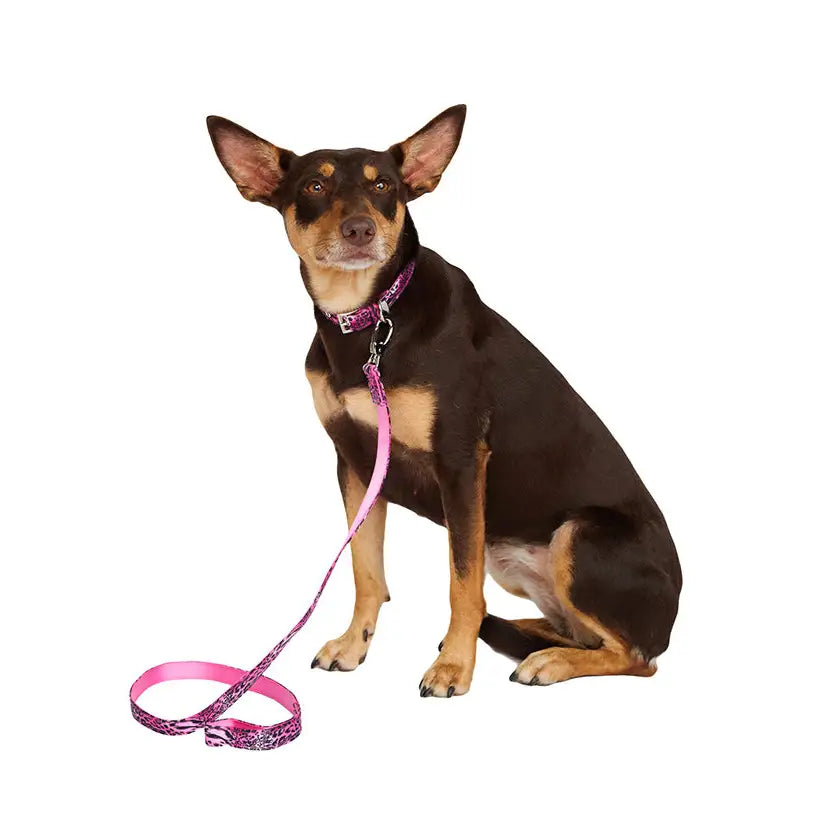 Funky Pink Leopard Dog Collar Large - Sale - 7