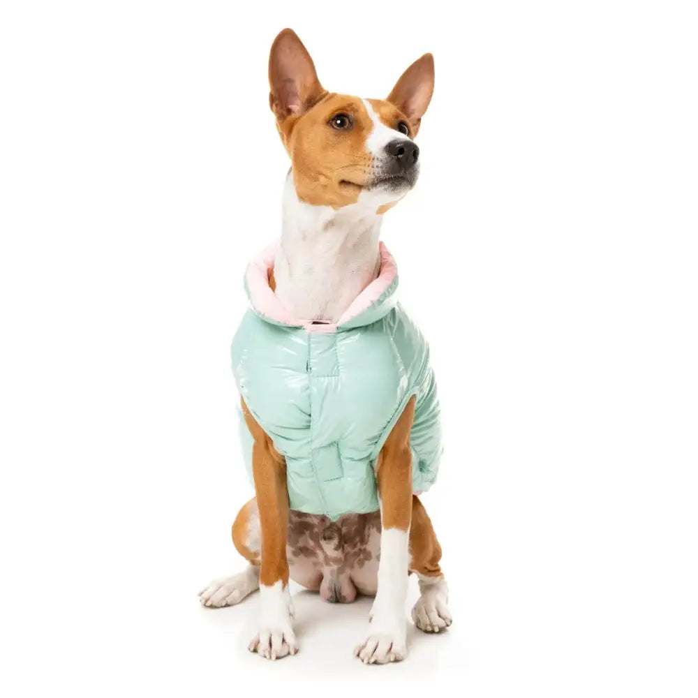 Fuzzyard Amor Insulated Dog Puffer Jacket - Mint - Fuzzyard - 3