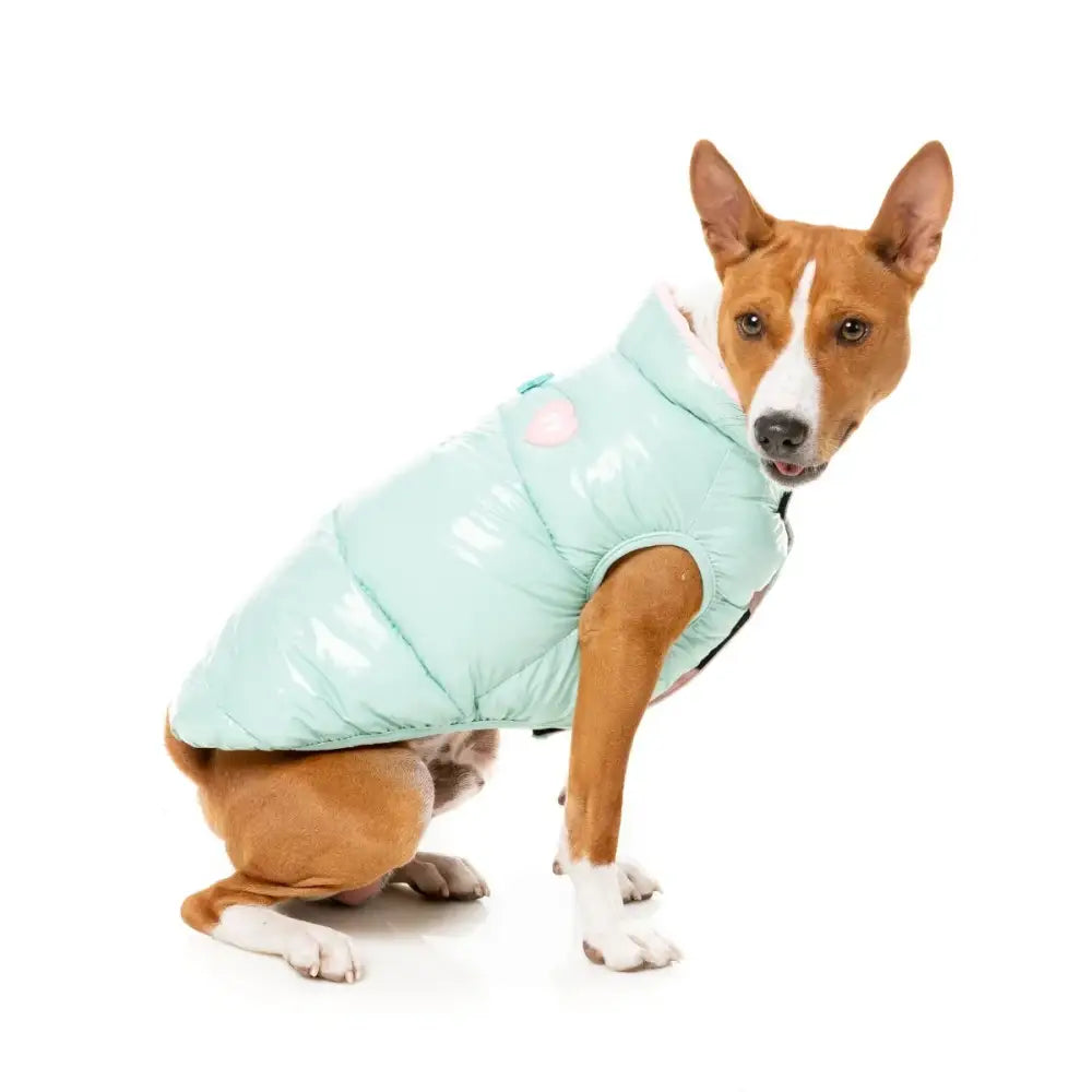 Fuzzyard Amor Insulated Dog Puffer Jacket - Mint - Fuzzyard - 1