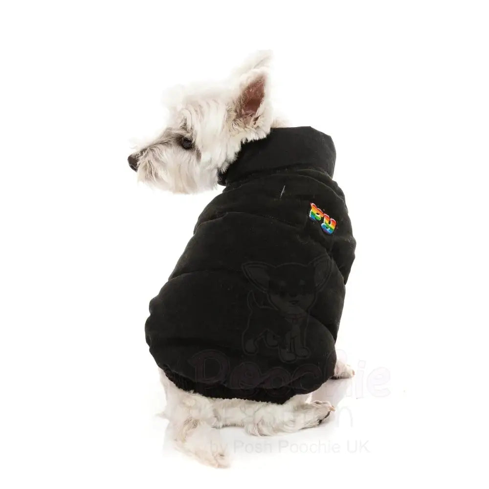 Fuzzyard Ashbury Dog Jacket - Black - Fuzzyard - 4