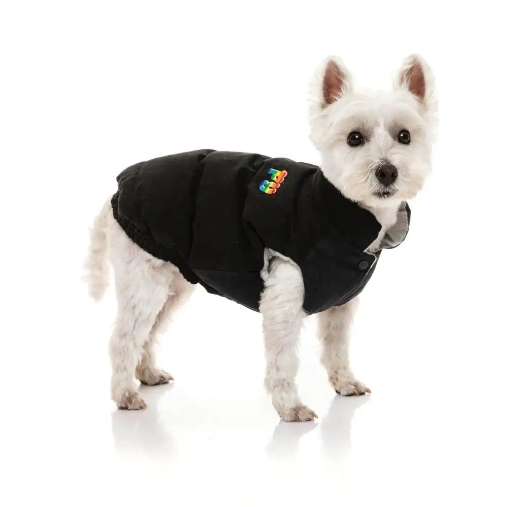 Fuzzyard Ashbury Dog Jacket - Black - Fuzzyard - 1