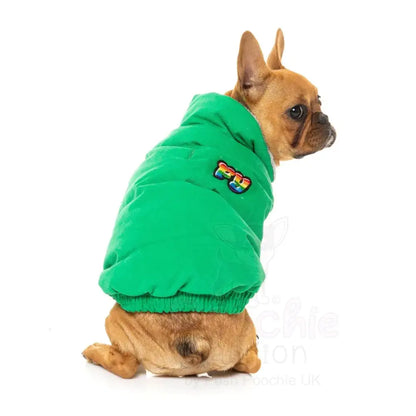 Fuzzyard Ashbury Dog Jacket - Green - Fuzzyard - 4