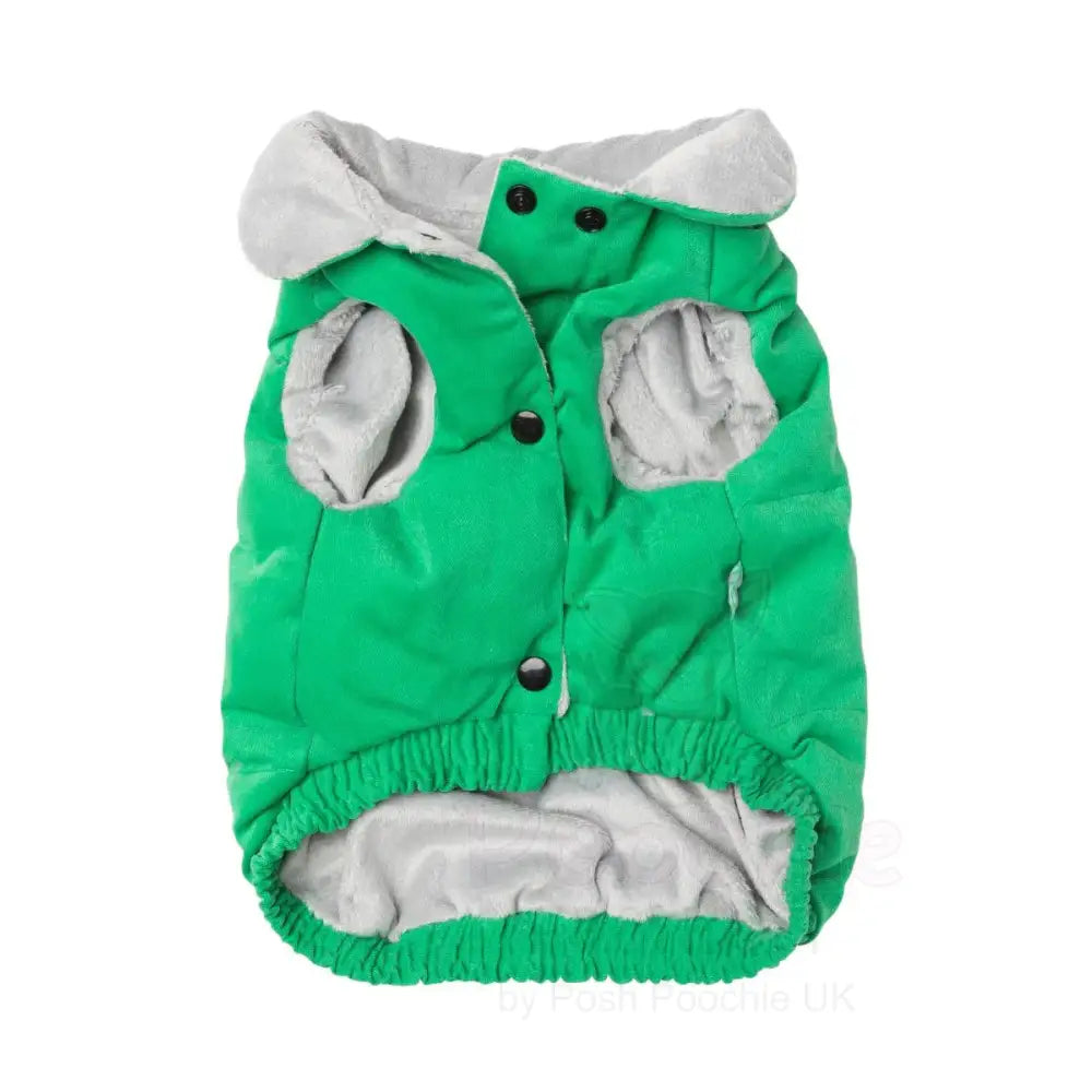Fuzzyard Ashbury Dog Jacket - Green - Fuzzyard - 3