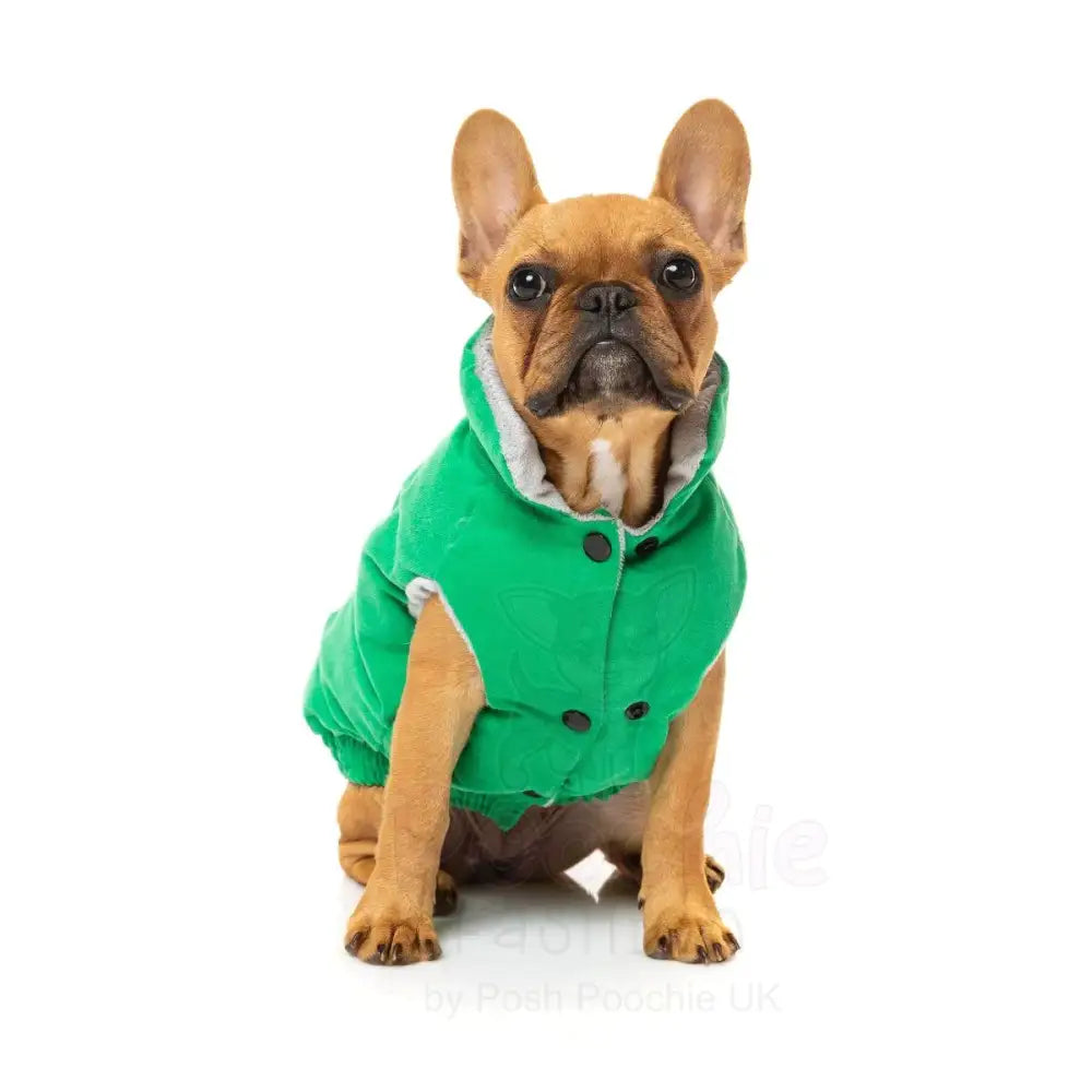 Fuzzyard Ashbury Dog Jacket - Green - Fuzzyard - 5