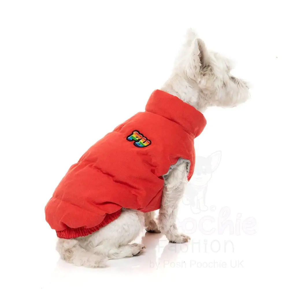 Fuzzyard Ashbury Dog Jacket - Vintage Red - Fuzzyard - 4