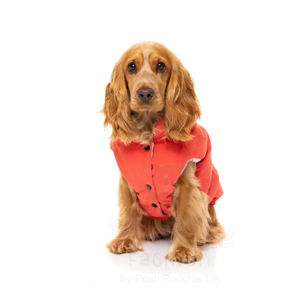 Fuzzyard Ashbury Dog Jacket - Vintage Red - Fuzzyard - 5
