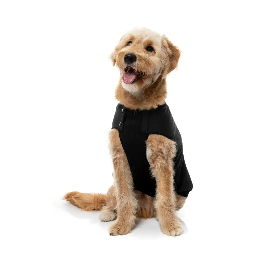 Fuzzyard Black Bomber Jacket – Flexible Fit Dog Coat with Harness Hole - Fuzzyard - 8