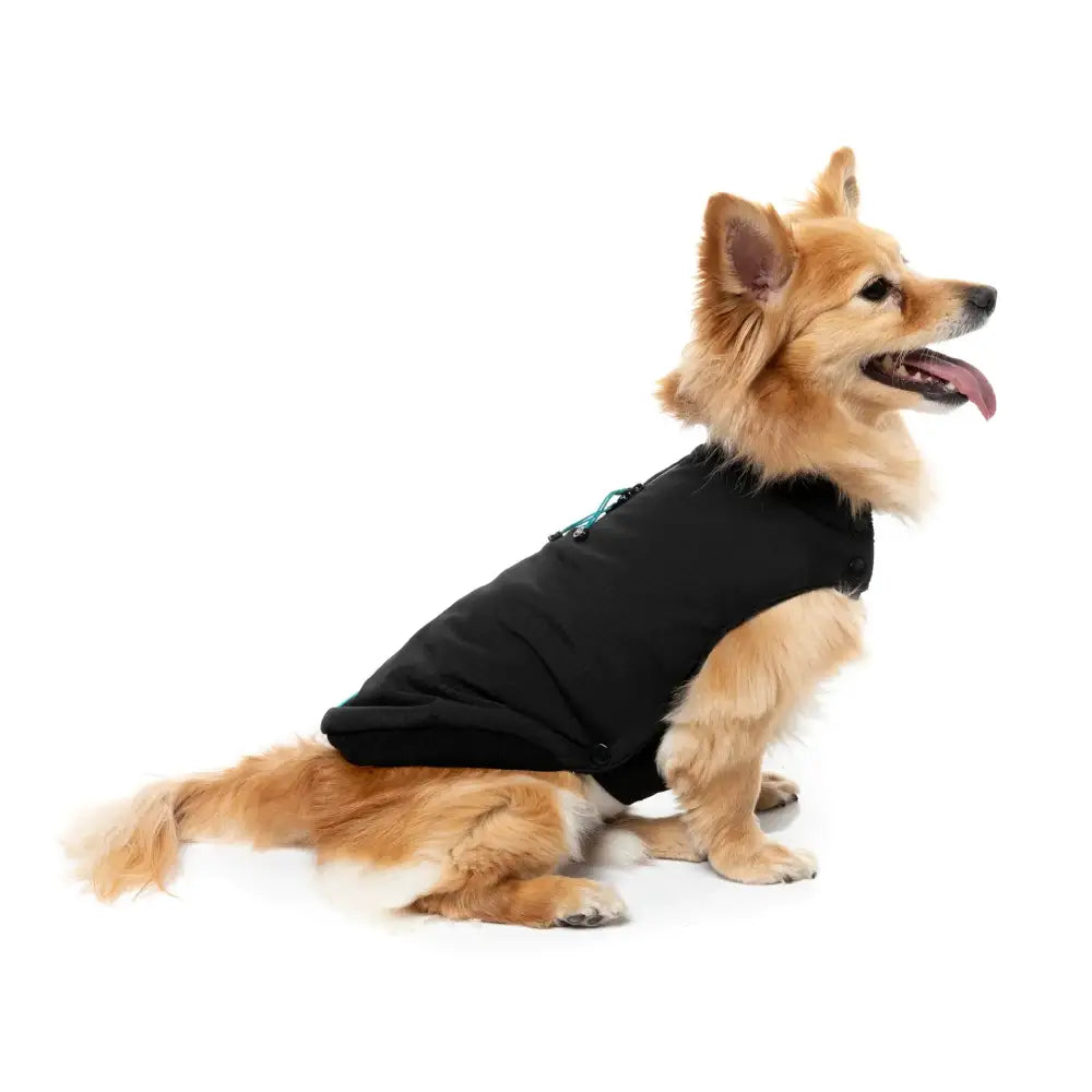 Fuzzyard Black Bomber Jacket – Flexible Fit Dog Coat with Harness Hole - Fuzzyard - 5