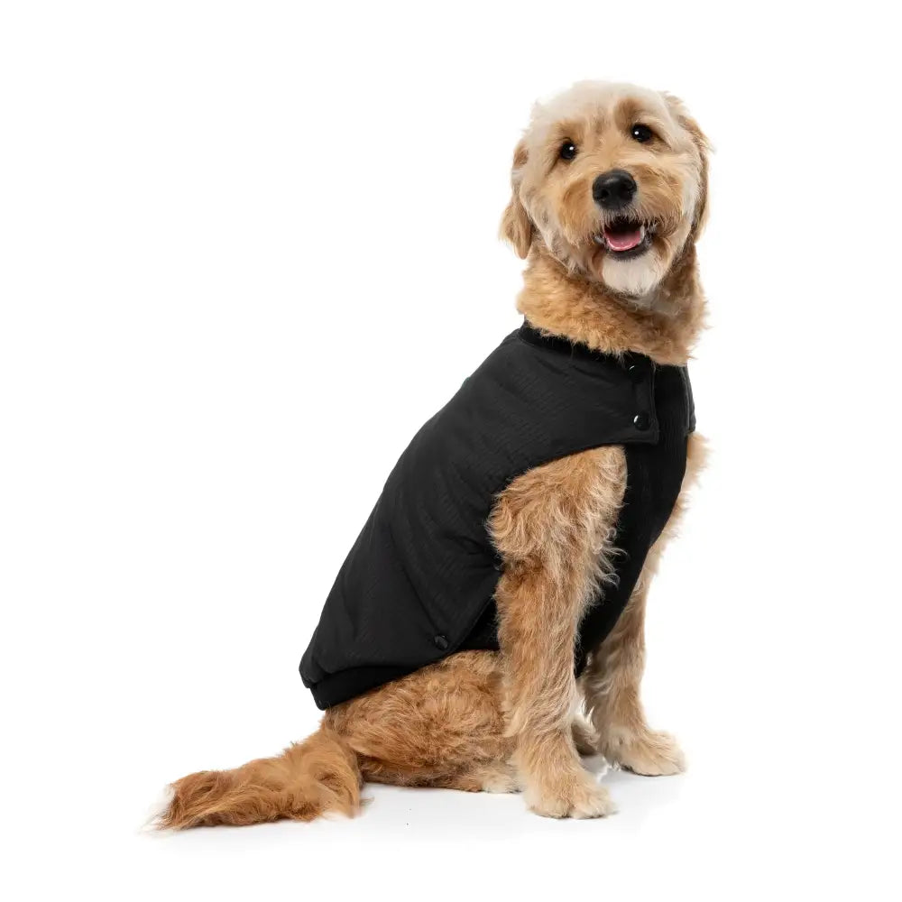 Fuzzyard Black Bomber Jacket – Flexible Fit Dog Coat with Harness Hole - Fuzzyard - 7