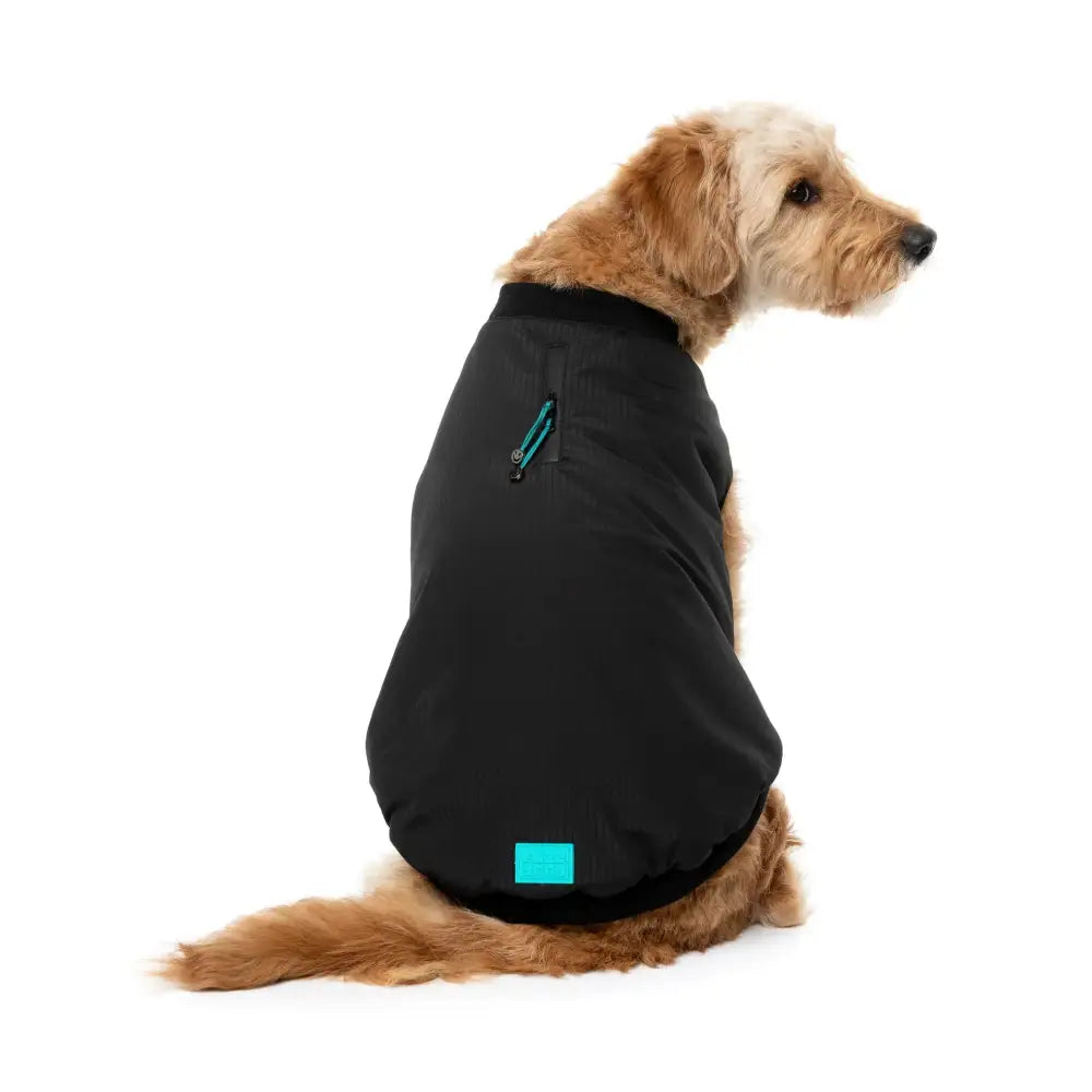 Fuzzyard Black Bomber Jacket – Flexible Fit Dog Coat with Harness Hole - Fuzzyard - 1