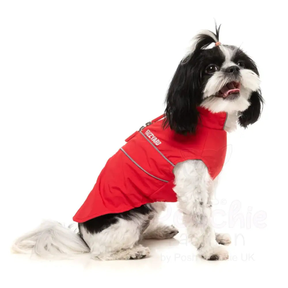 Fuzzyard Breaker Dog Raincoat - Red - Fuzzyard - 3