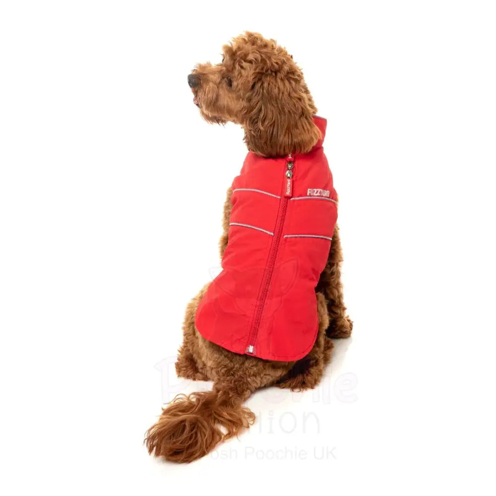 Fuzzyard Breaker Dog Raincoat - Red - Fuzzyard - 5