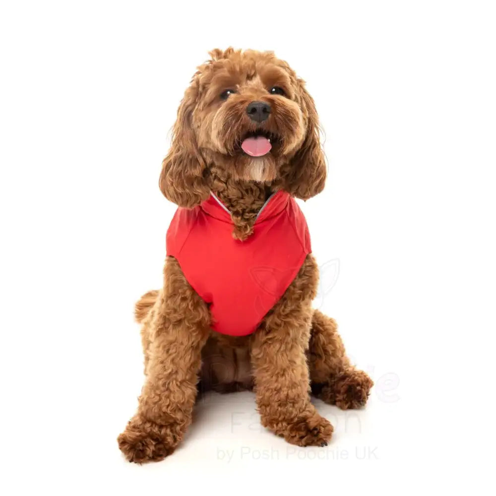 Fuzzyard Breaker Dog Raincoat - Red - Fuzzyard - 7