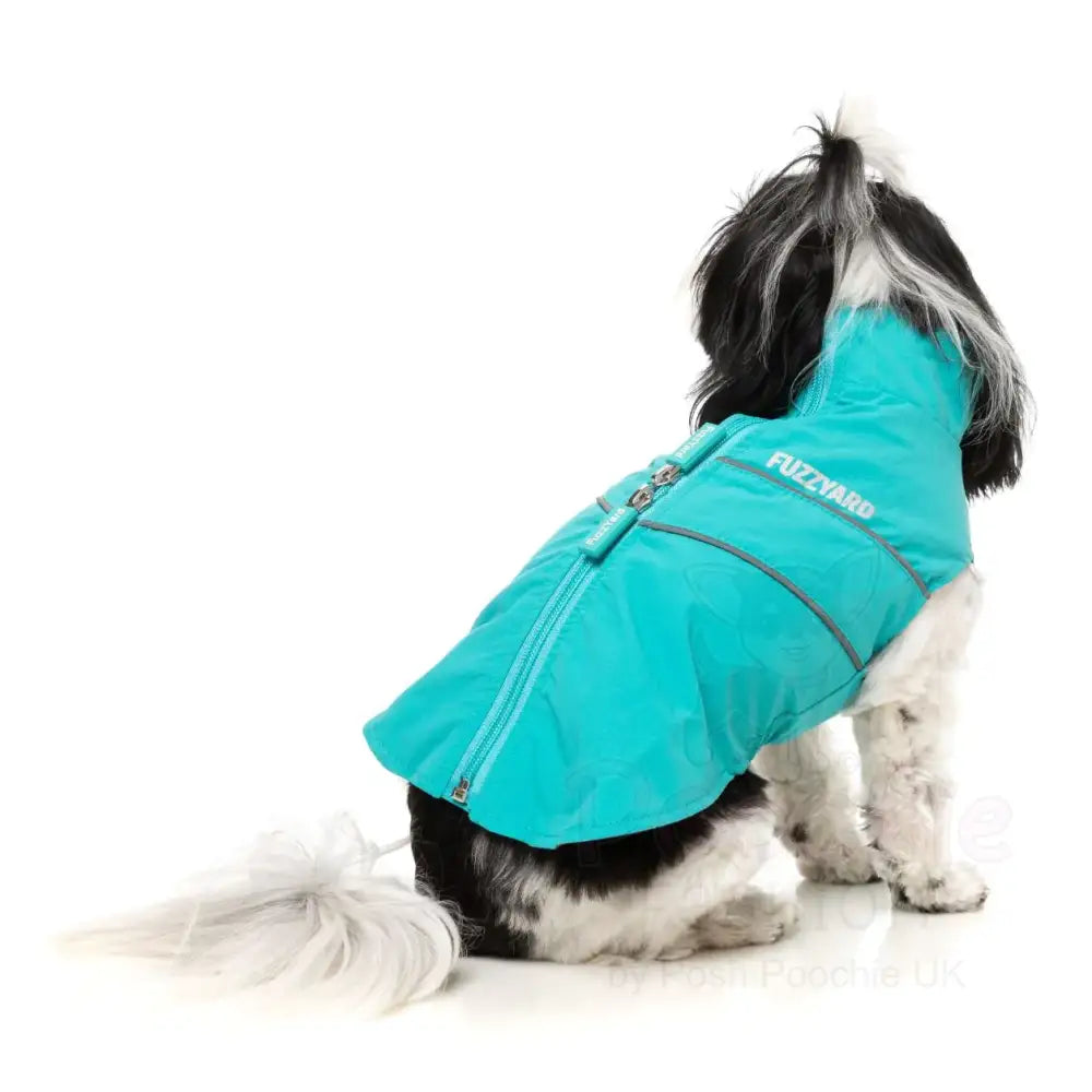 Fuzzyard Breaker Dog Raincoat - Teal - Fuzzyard - 4