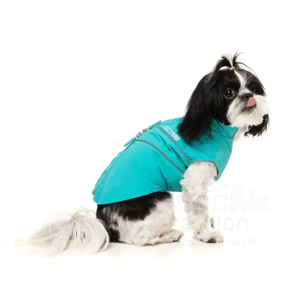 Fuzzyard Breaker Dog Raincoat - Teal - Fuzzyard - 2