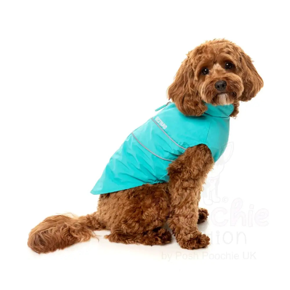 Fuzzyard Breaker Dog Raincoat - Teal - Fuzzyard - 3