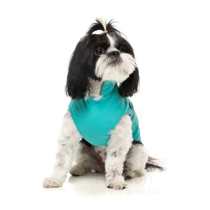 Fuzzyard Breaker Dog Raincoat - Teal - Fuzzyard - 7