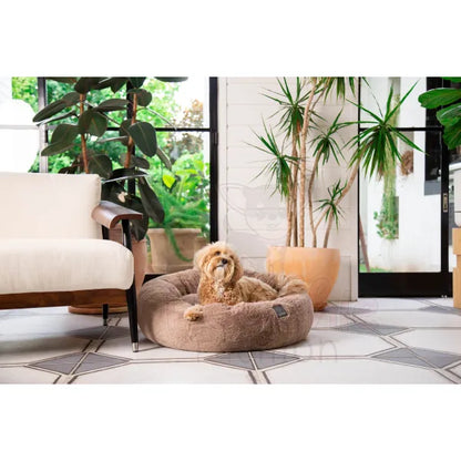 Fuzzyard Dreameazzzy Bed in Truffle Chai - Fuzzyard - 4