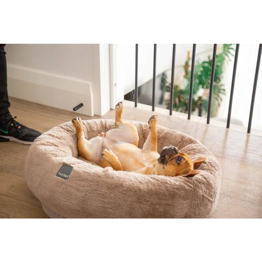 Fuzzyard Dreameazzzy Cuddler Dog Bed in Truffle Chai - Fuzzyard - 2
