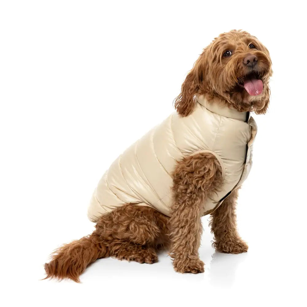 Fuzzyard East Harlem Waterproof Dog Puffer Jacket - Beige - Fuzzyard - 4