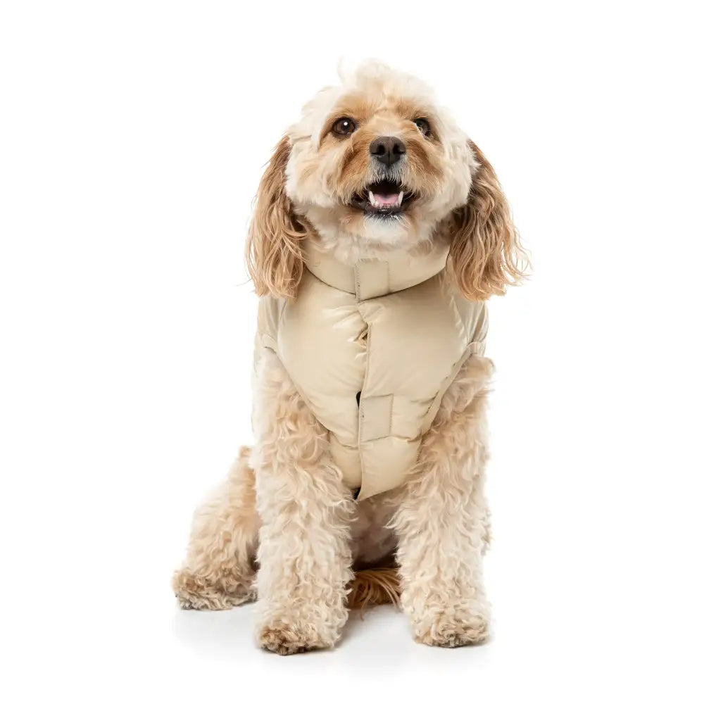 Fuzzyard East Harlem Waterproof Dog Puffer Jacket - Beige - Fuzzyard - 5