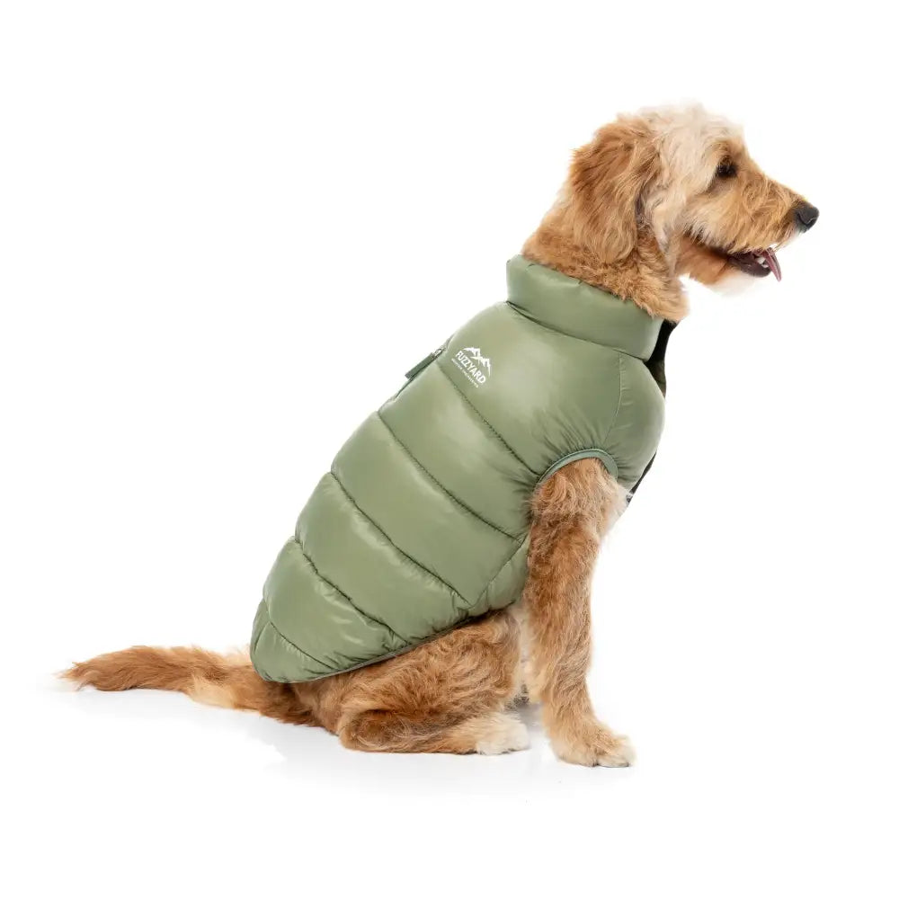Fuzzyard East Harlem Waterproof Dog Puffer Jacket - Khaki - Fuzzyard - 5