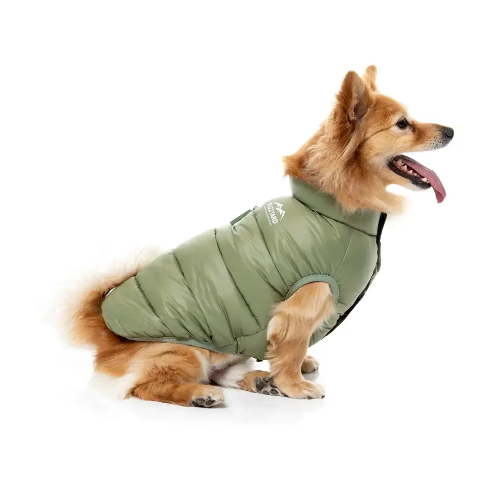 Fuzzyard East Harlem Waterproof Dog Puffer Jacket - Khaki - Fuzzyard - 6