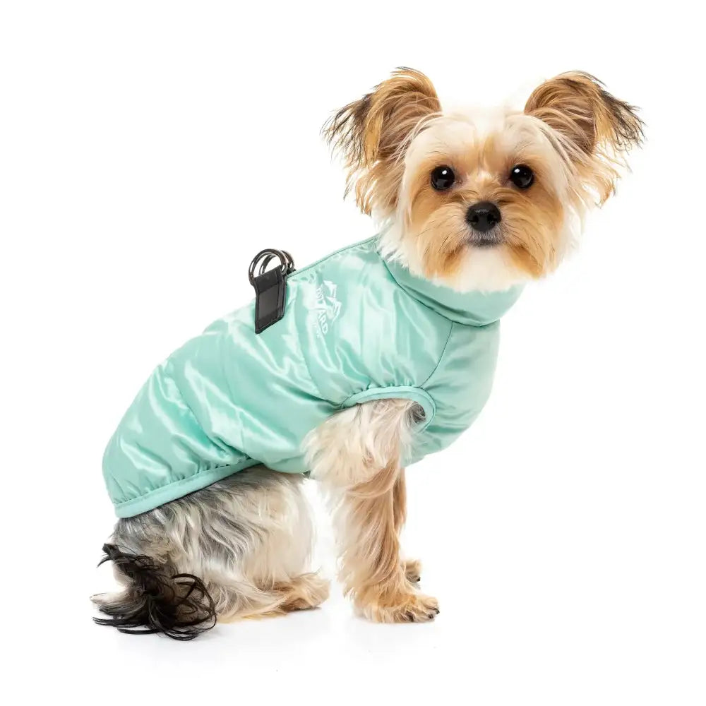 Fuzzyard Eastcoast Harness Dog Jacket - Mint - Fuzzyard - 1