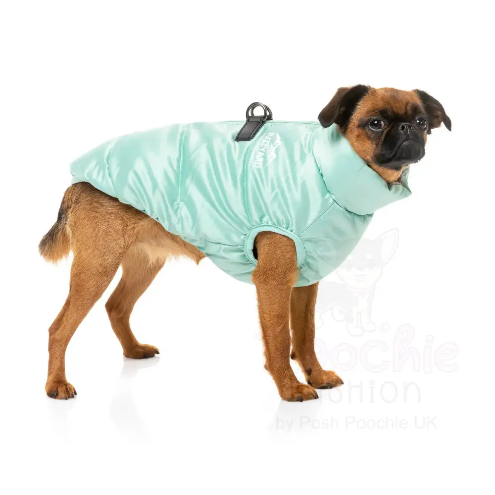 Fuzzyard Eastcoast Harness Dog Jacket - Mint - Fuzzyard - 4