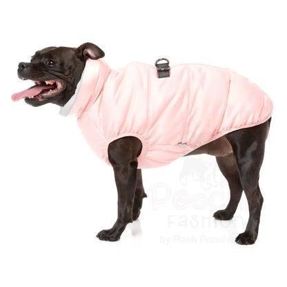 Fuzzyard Eastcoast Harness Dog Jacket - Pink - Fuzzyard - 4