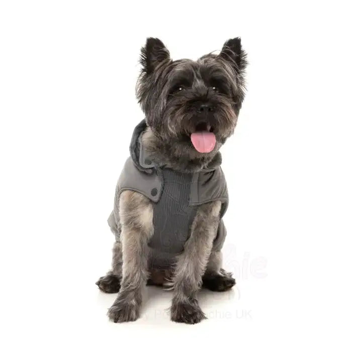 Fuzzyard Essential Padded Jacket - Grey - Fuzzyard - 3