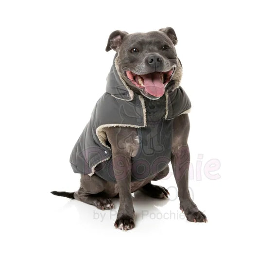 Fuzzyard Essential Puffer Jacket - Charcoal - Fuzzyard - 2
