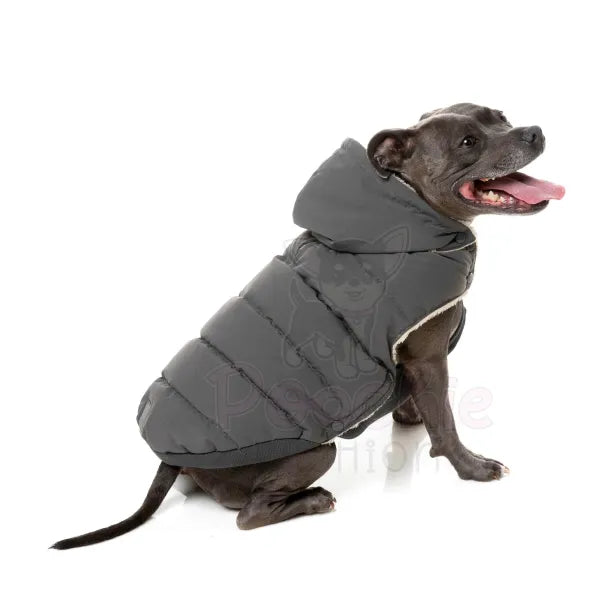 Fuzzyard Essential Puffer Jacket - Charcoal - Fuzzyard - 5